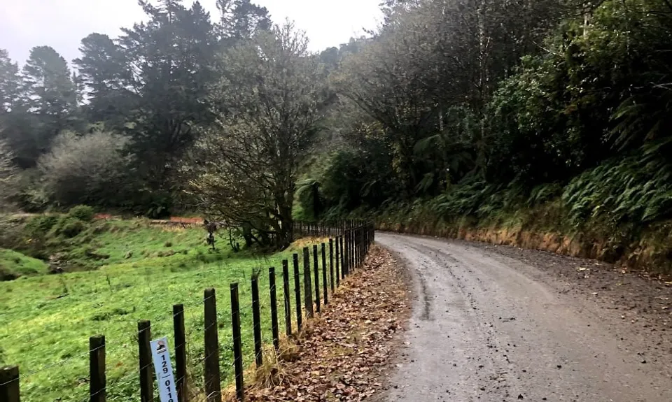 The Old Whangamomona Road, Taranaki