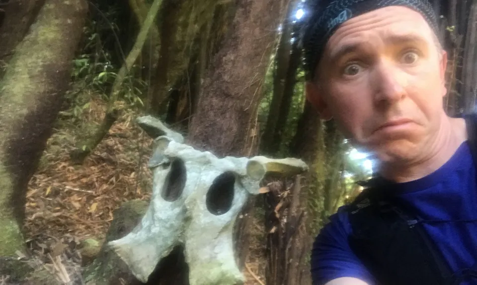 Mount Titi Full Bush , Wellington