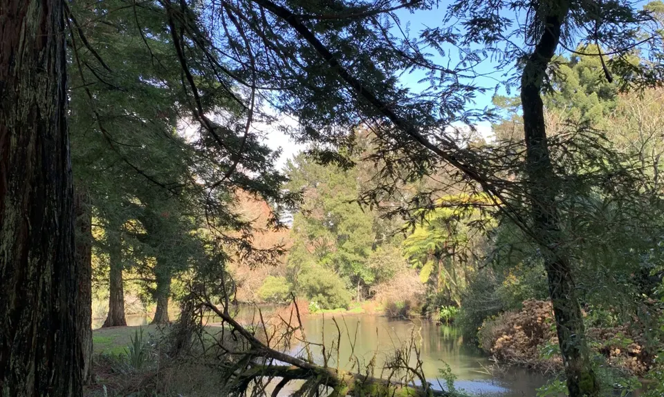 Lake Mangamahoe, Taranaki