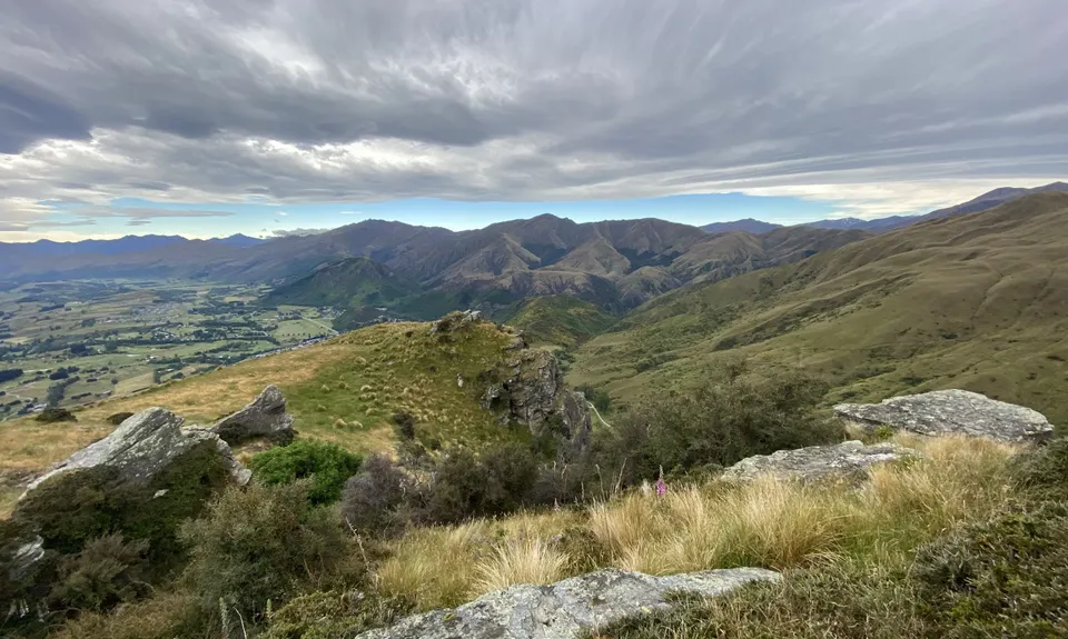 Beat Beetham , Otago