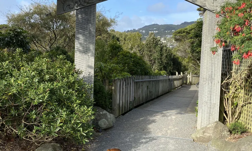 Linking the Reserves, Wellington
