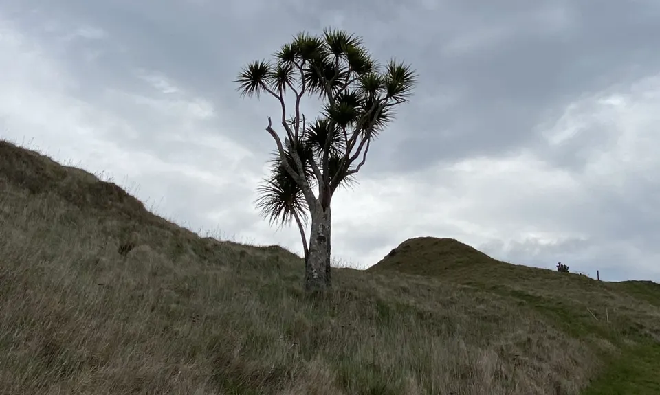 Mt Clyde, Manawatu - Wanganui