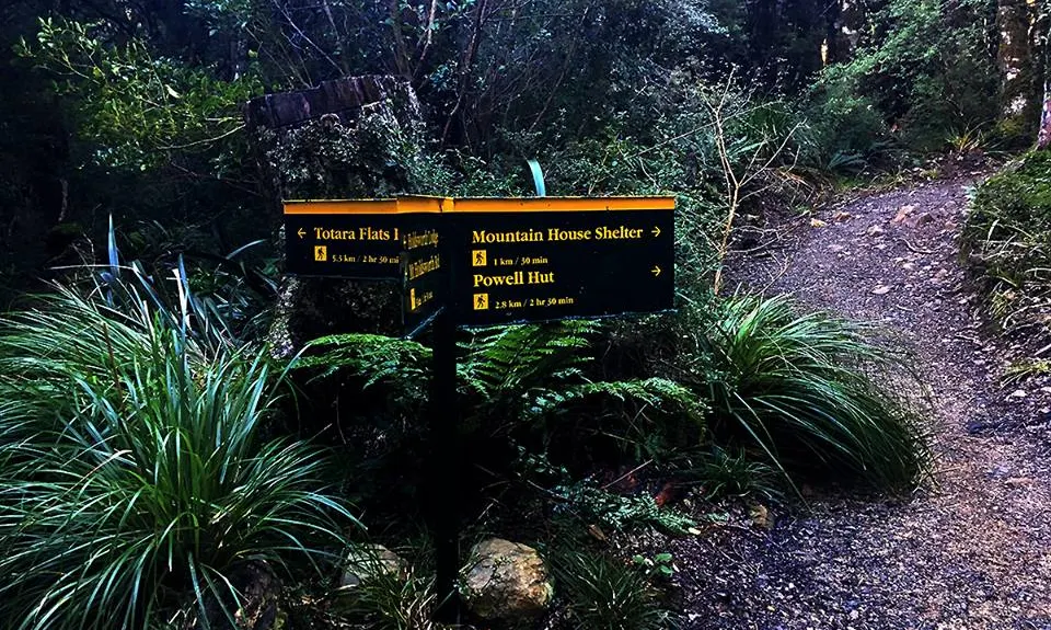 Hooper Loop - Mt Holdsworth, Wellington