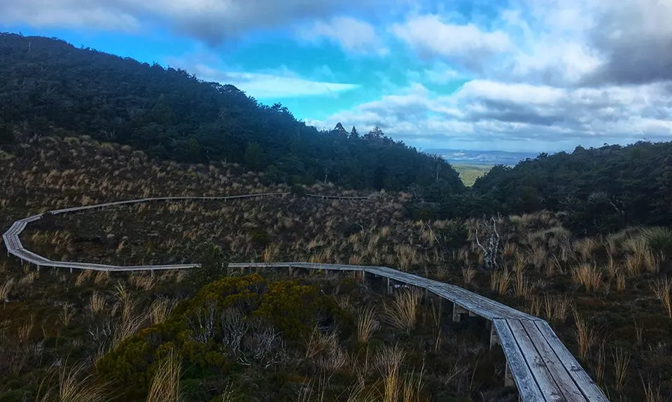 Blyth Hut and Beyond , Manawatu - Wanganui