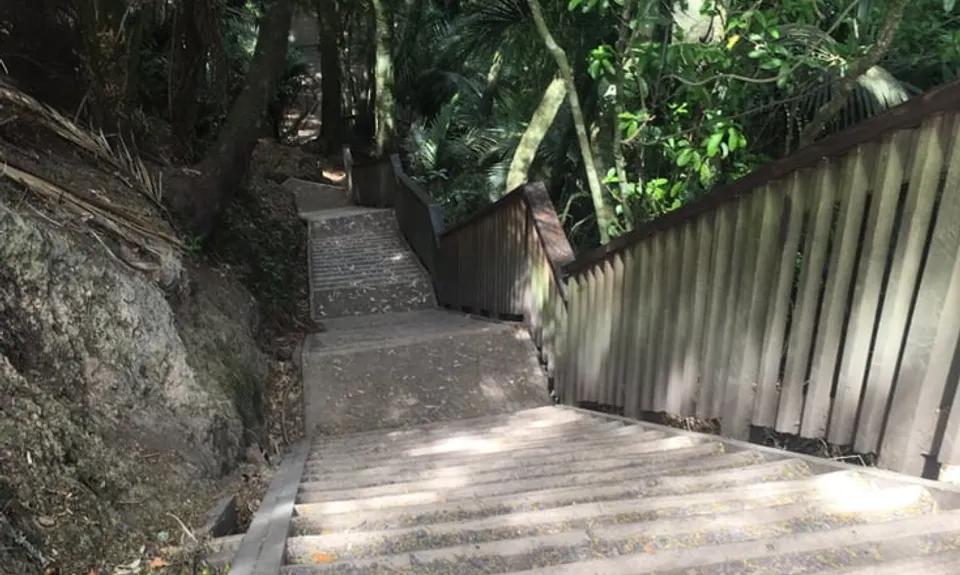 Puhinui Stream Forest Trail, Auckland