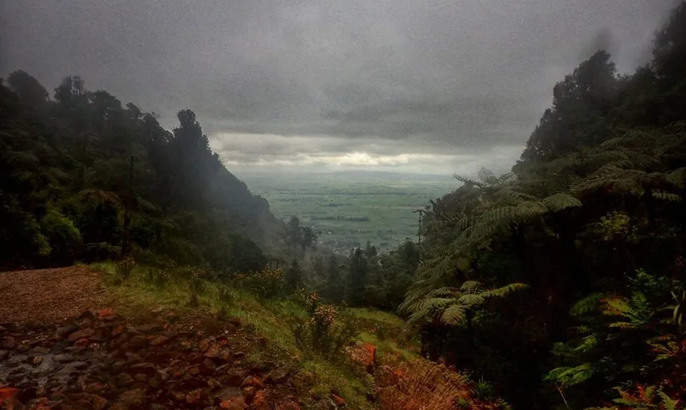 Te Aroha Summit Loop, Waikato