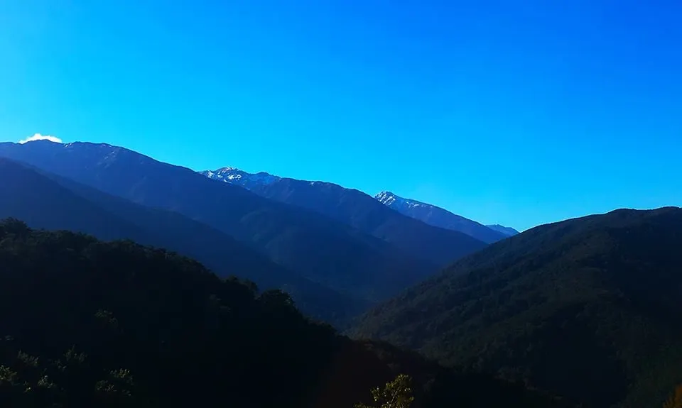 Hooper Loop - Mt Holdsworth, Wellington