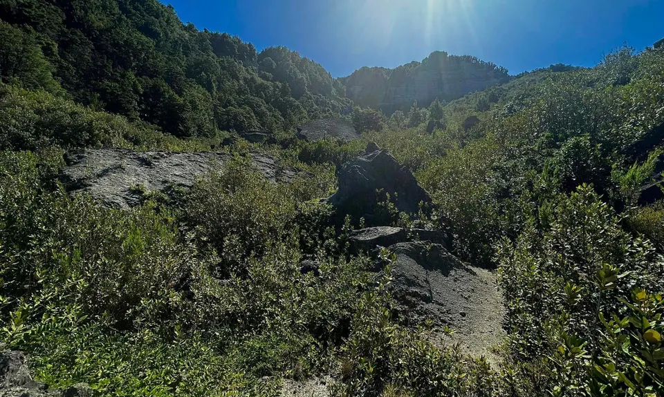 Johnson Creek Track, Tasman