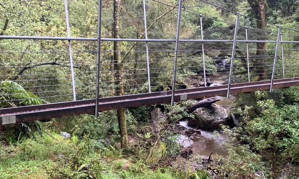 Murray Creek / Konini Track Loop, West Coast