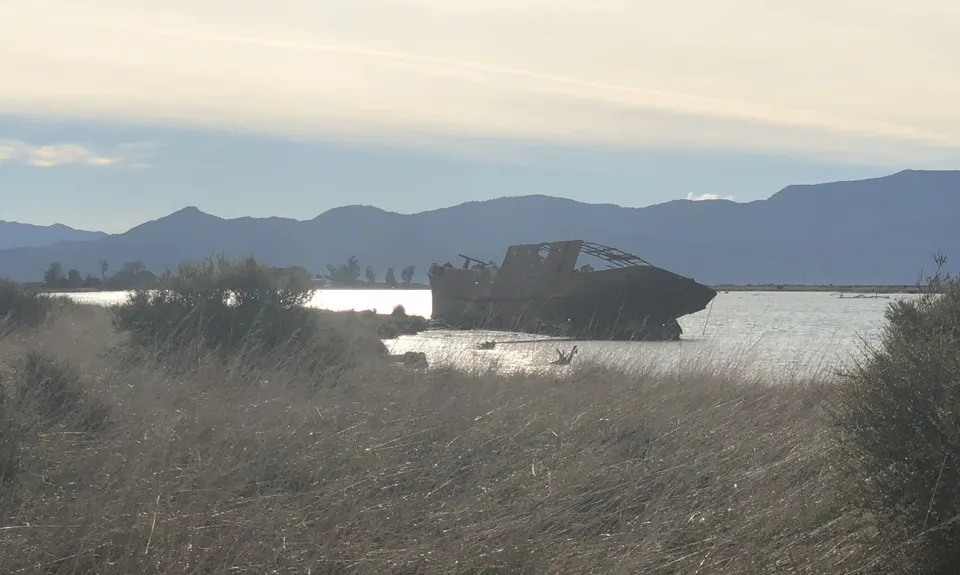Wairau Lagoons Loop, Marlborough