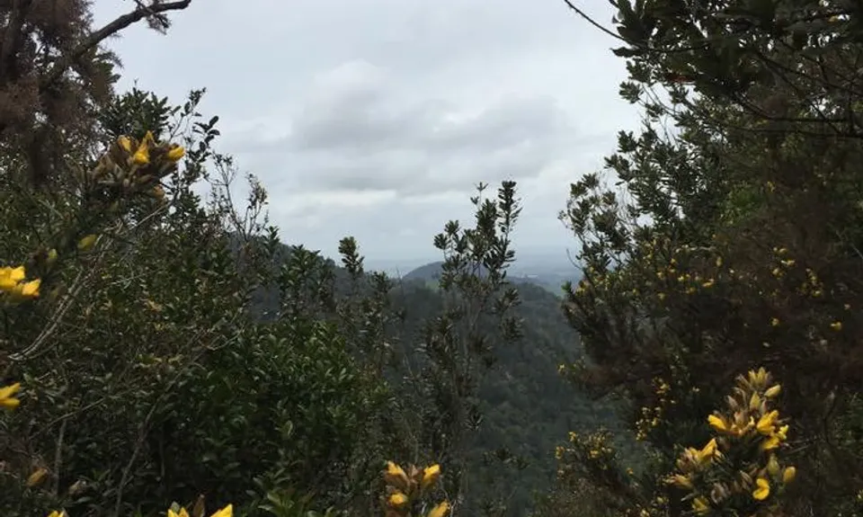 Otanewainuku to Otawa, Bay of Plenty