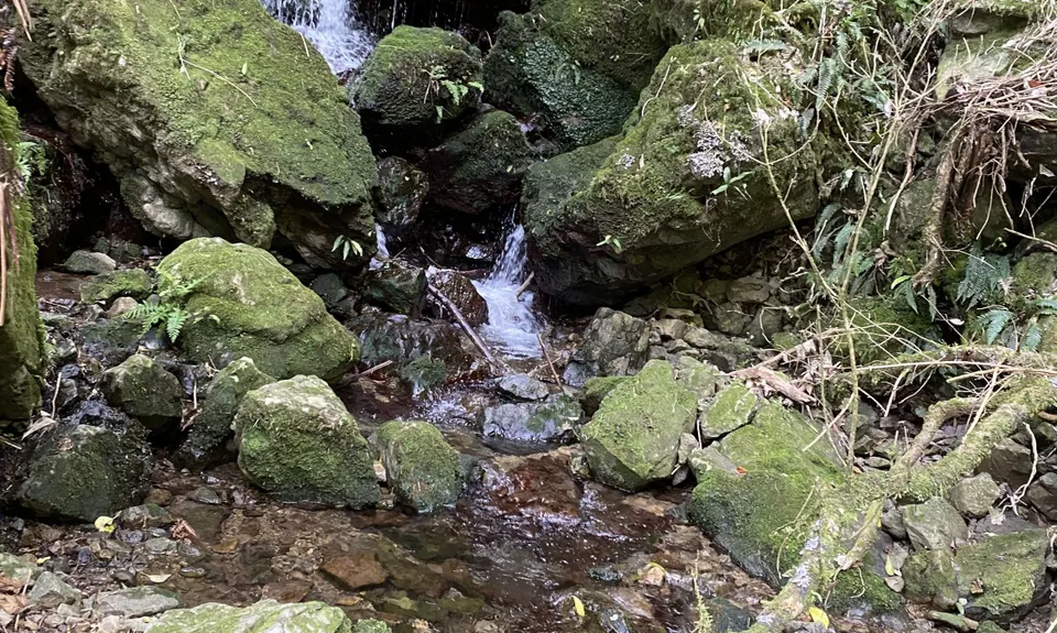 Karapoti Challenge, Wellington