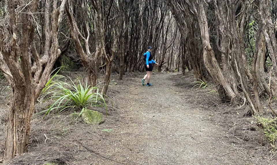 Omaui Reserve, Southland