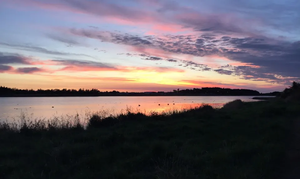 Invercargill Estuary, Southland