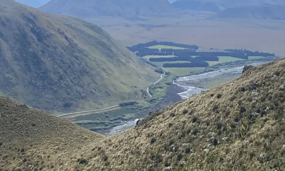 Mt Barrosa Burn, Canterbury