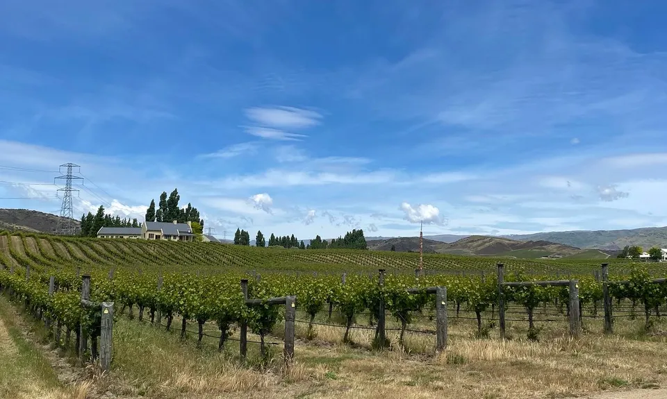 Lake Dunstan Trail, Otago