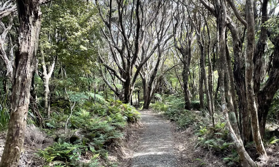 Only One Hill! Karekare Half Marathon, Auckland