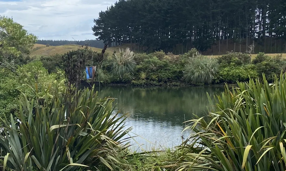 Kaituna Wetlands, Bay of Plenty