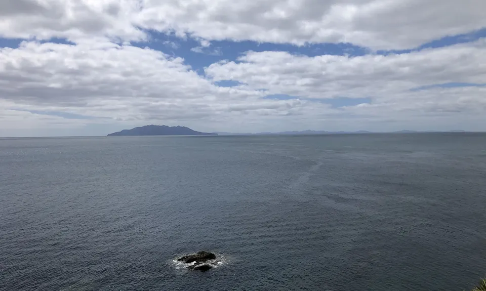 Tawharanui Loops, Auckland
