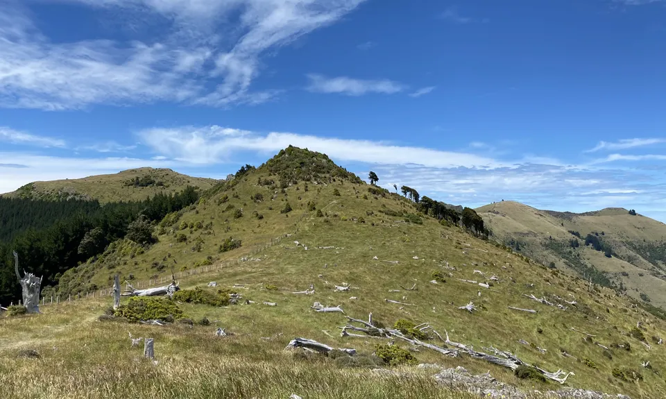 Summit Walkway, Canterbury