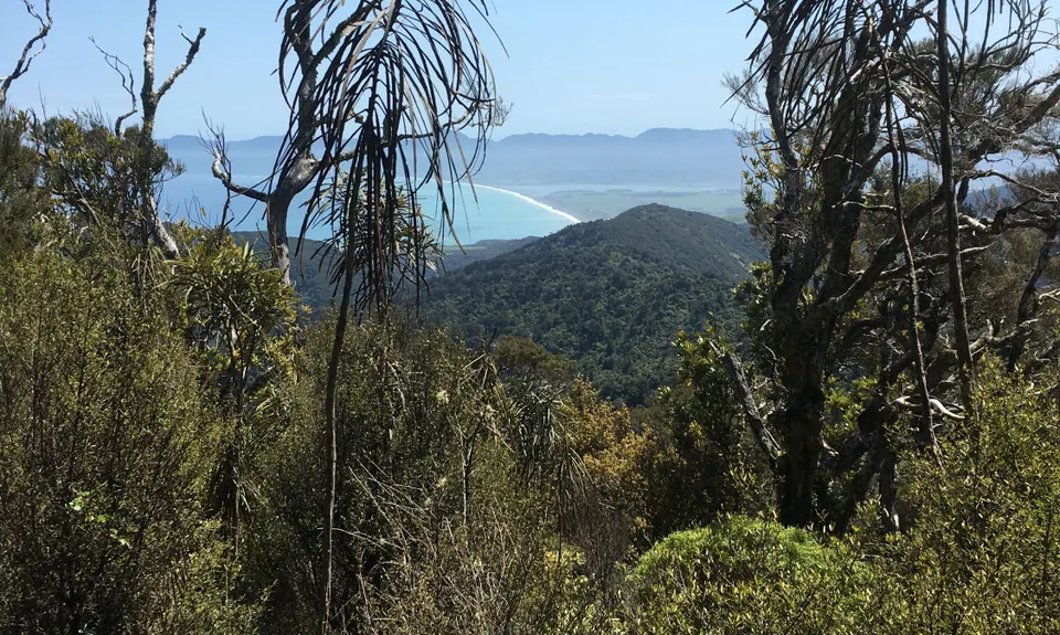 Aorangi Undulator, Wellington