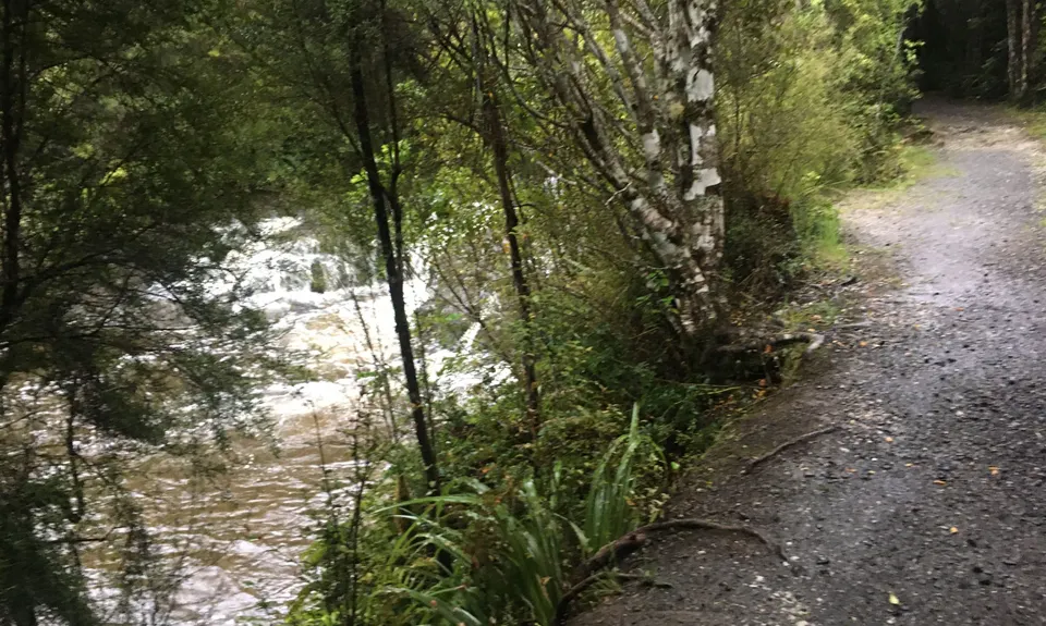 Dunsdale Domain Loop, Southland
