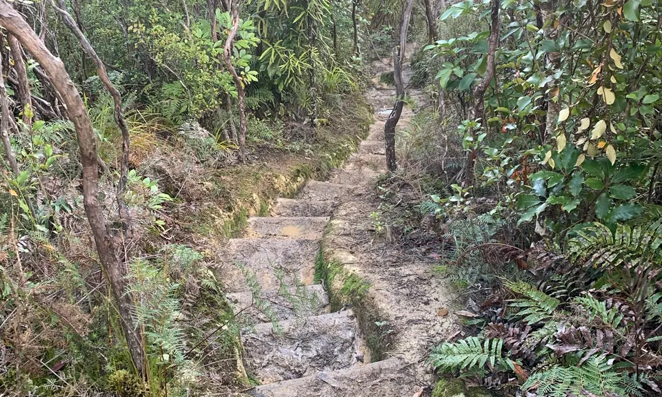 Dobson Loop, Wellington