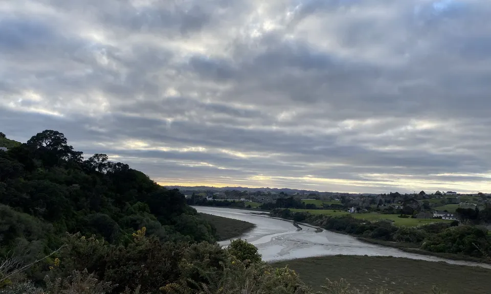Mangemangeroa Track, Auckland