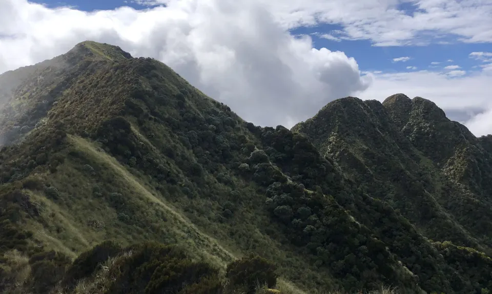 Mt Brown Hut, West Coast