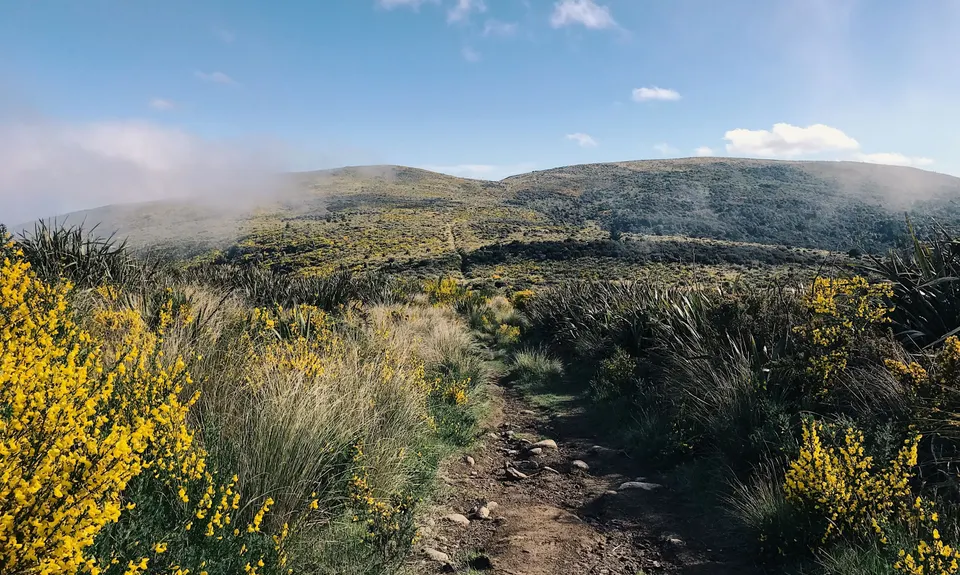 2.8 Peaks Dunedin, Otago