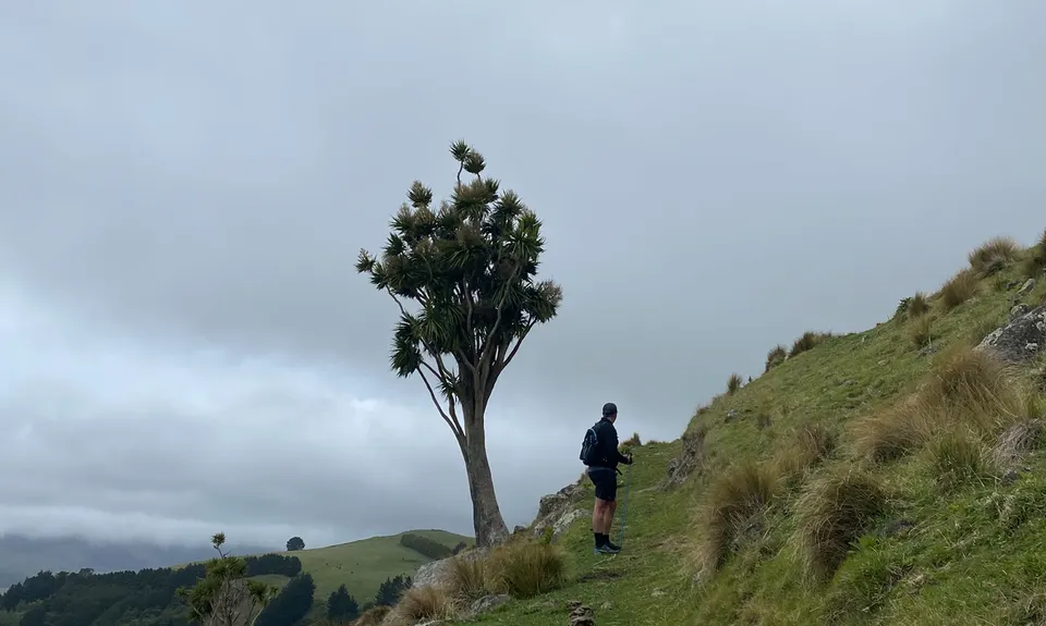 Living Springs Loop, Canterbury