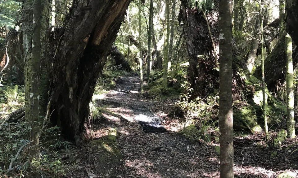 Omaui Reserve, Southland