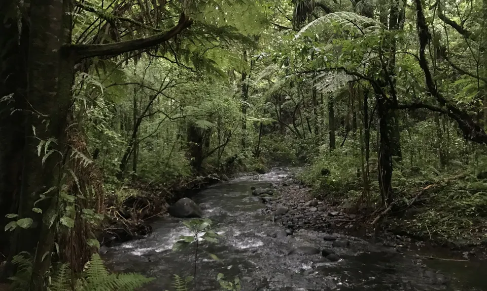 Meeting of the Waters, Taranaki
