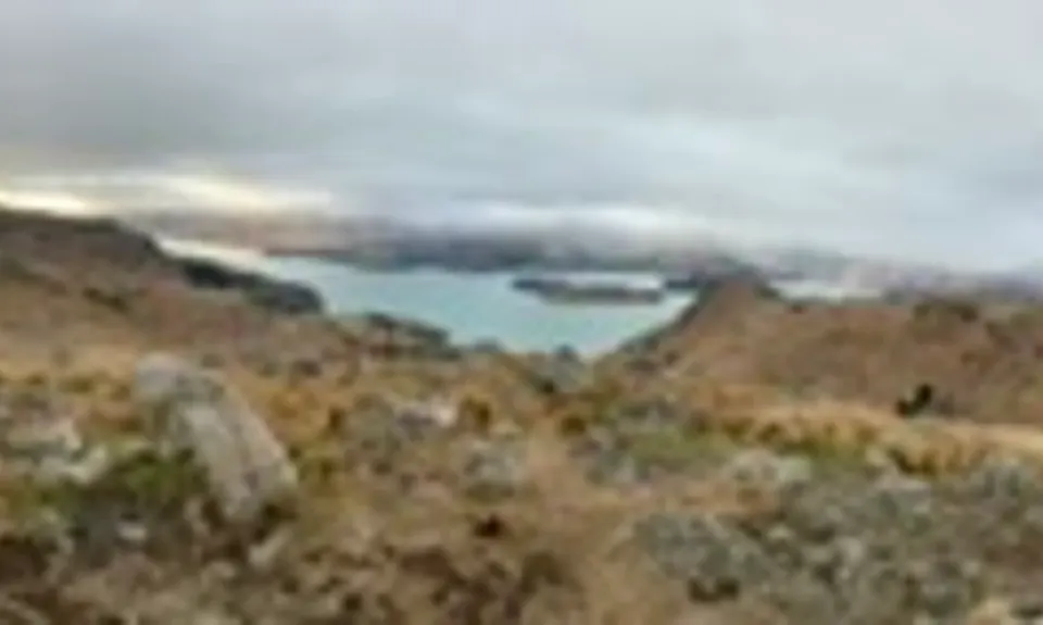 Sign Of The Takahe - Rapaki, Canterbury