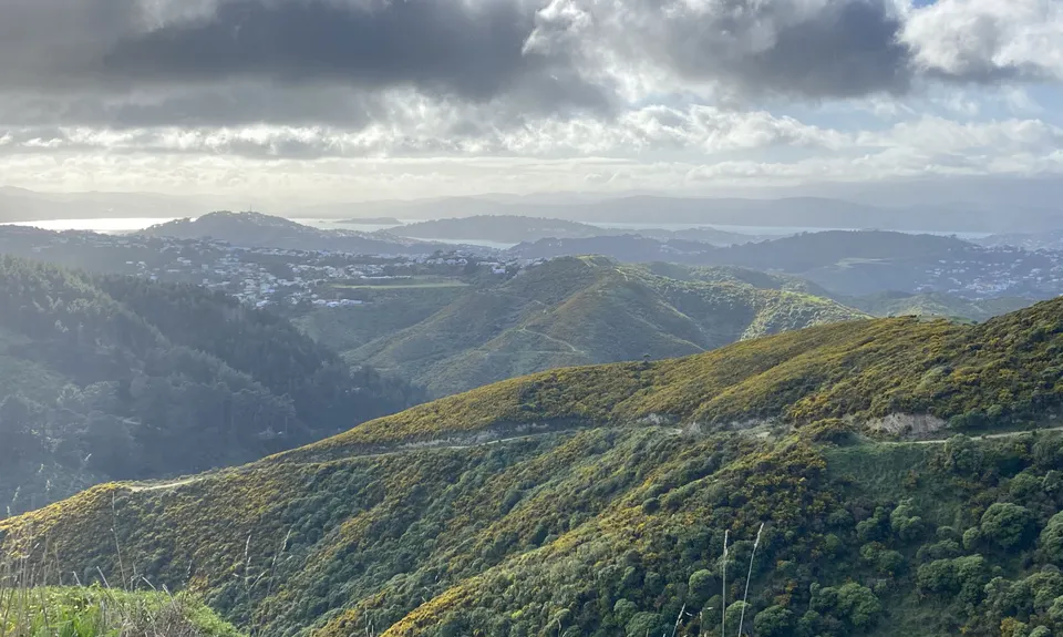 WUU2k - 42km Route, Wellington
