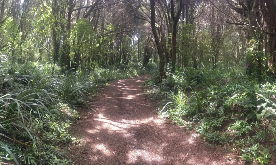 Second Date Loop, Southland