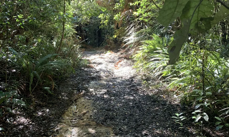 Muhunoa Loop Lung Buster , Manawatu - Wanganui