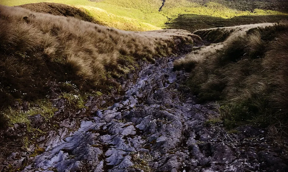 Lake Dive Circuit, Taranaki
