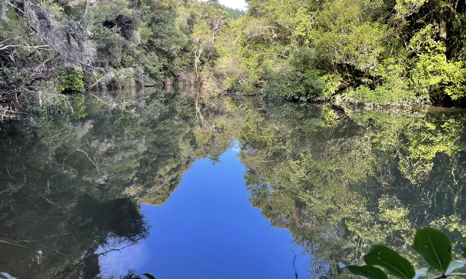 Evansdale Glen loop, Otago