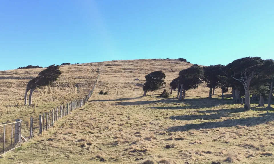 Summit Walkway, Canterbury