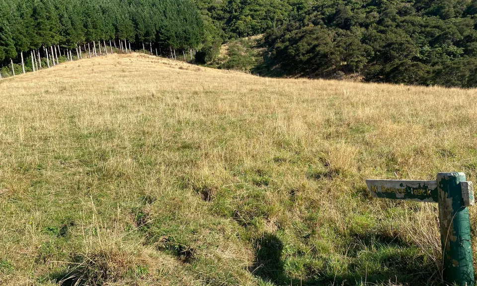 Middle of Middle Earth, Wellington