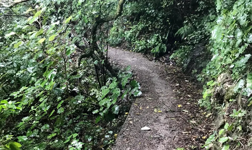 Mid Makara Magic, Wellington