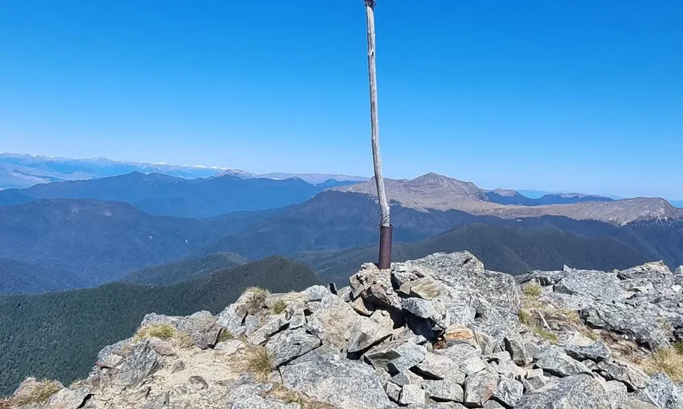 A Fishy Trail, Marlborough