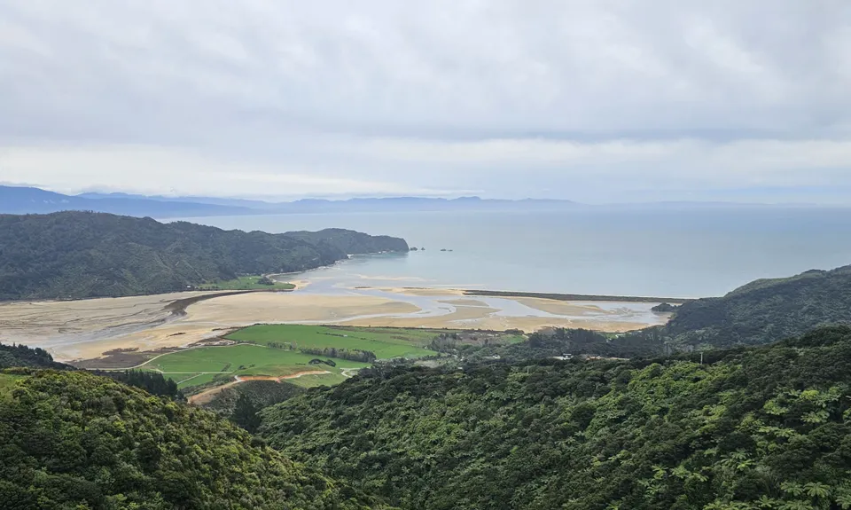Wainui Gibbs Hill Loop, Tasman