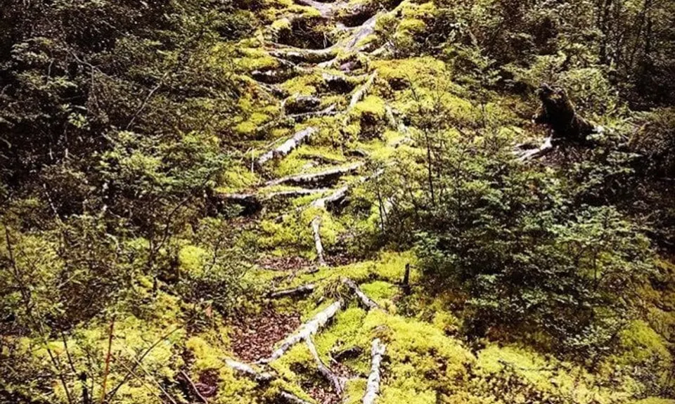 Sugarloaf Circuit, Otago