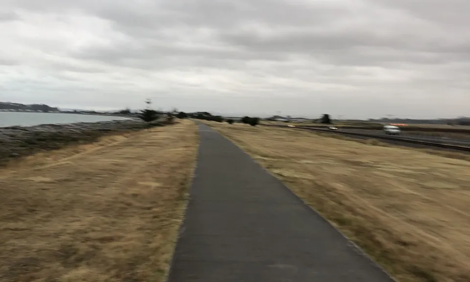 Westshore Flattie, Hawkes Bay