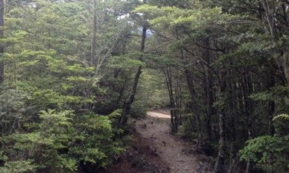 Mt Richardson Rippa, Canterbury