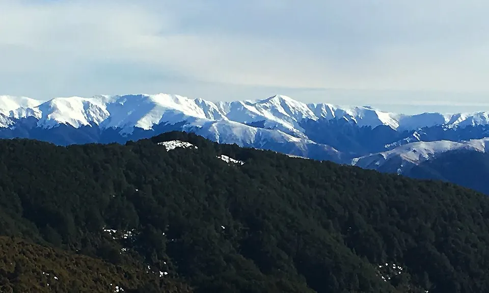 Mt Thomas Grunt, Canterbury