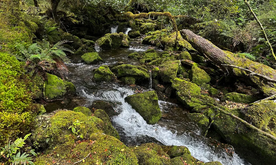 Duffy Creek Route, West Coast