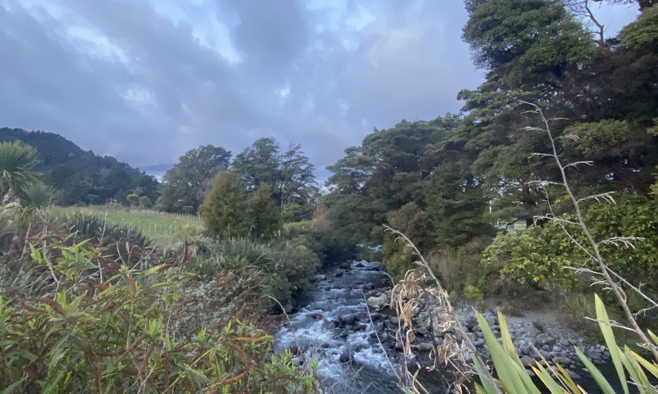 Ohakune Town/Forest Loop, Manawatu - Wanganui